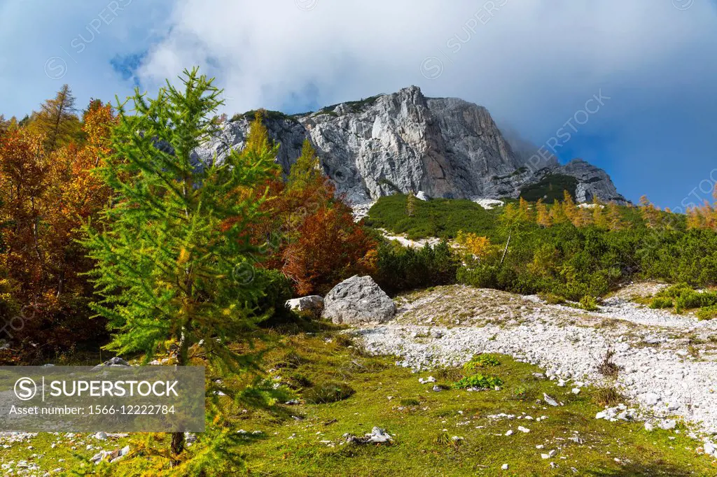 Fall colors, Triglav National Park, Trenta Valley, Julian Alps, Municipality of Bovec, Slovenia, Europe.