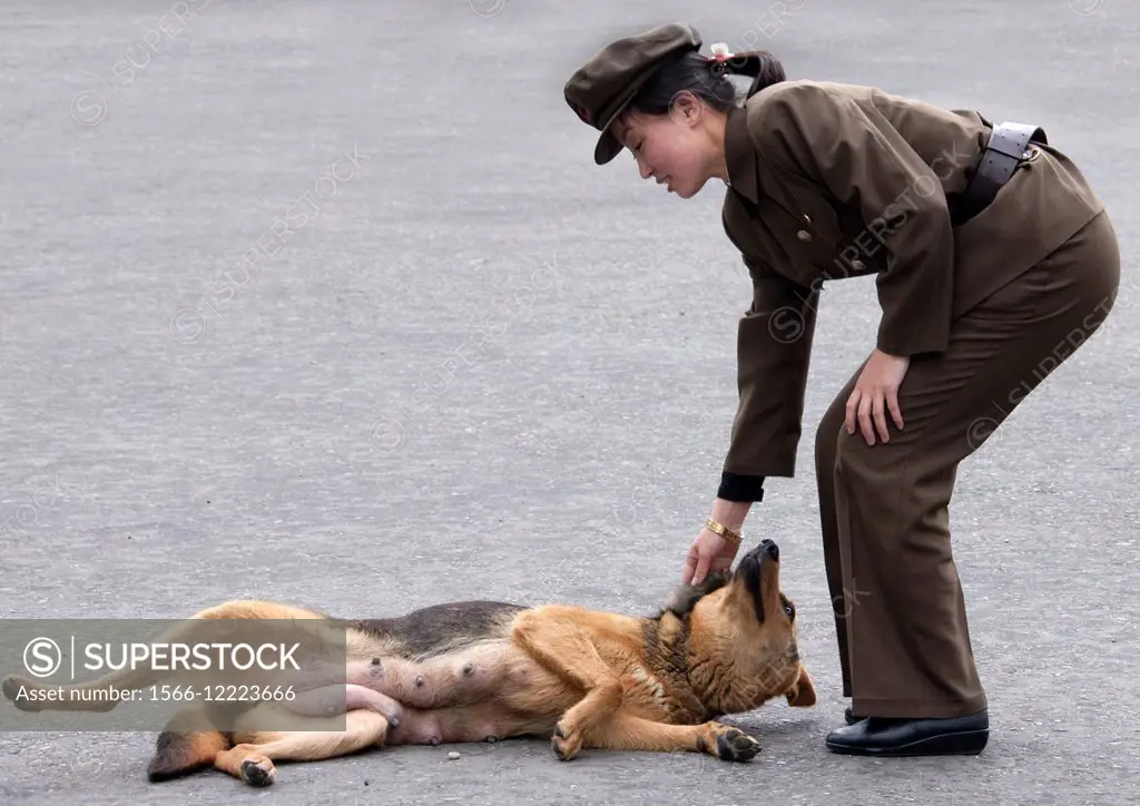 Soldier And A Dog, Pyongyang, North Korea