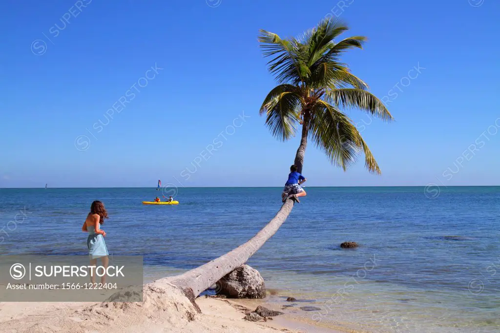 Florida, Florida Keys, US Route 1 One, Overseas Highway, Upper Matecombe Key, Islamorada, The Moorings Village and & Spa, resort, Atlantic Ocean, palm...