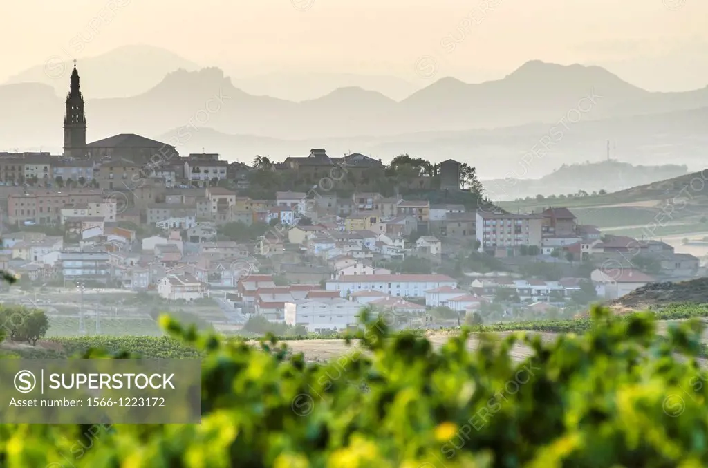 Briones village background and Vineyards of La Rioja, Spain