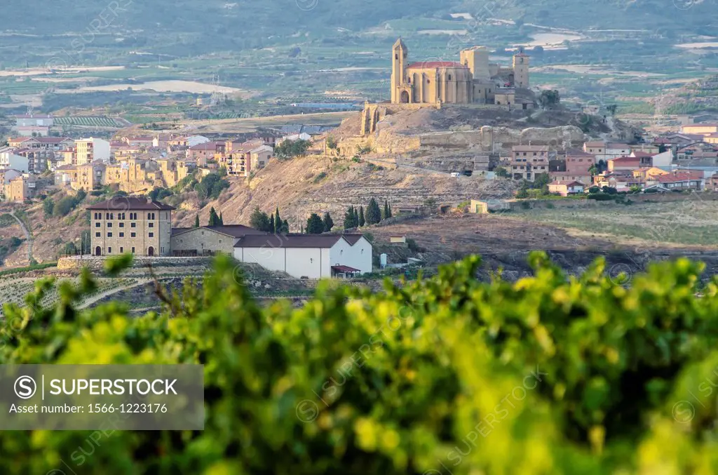 Vineyards of La Rioja with San Vicente de la Sonrierra background, Spain
