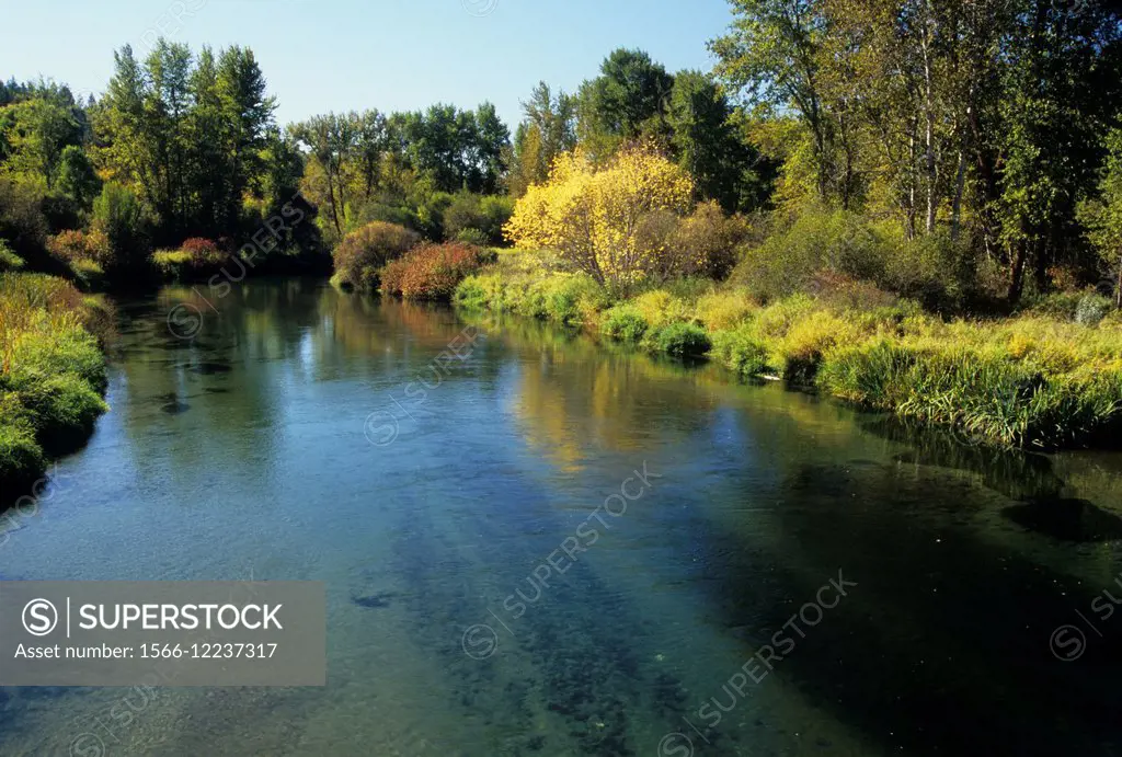 Little Spokane River , Little Spokane River Natural Area, Riverside State Park, Washington.