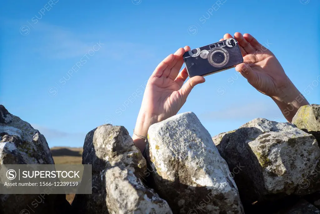 Hands of a woman taking a picture with a cell phone from behind a stone wall. Yorkshire Dales, England, UK, Europe