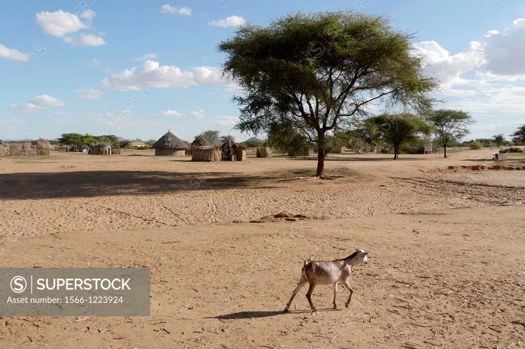 Kenya. Lorugumu, Turkana. Arid scene with Turkana village in background.