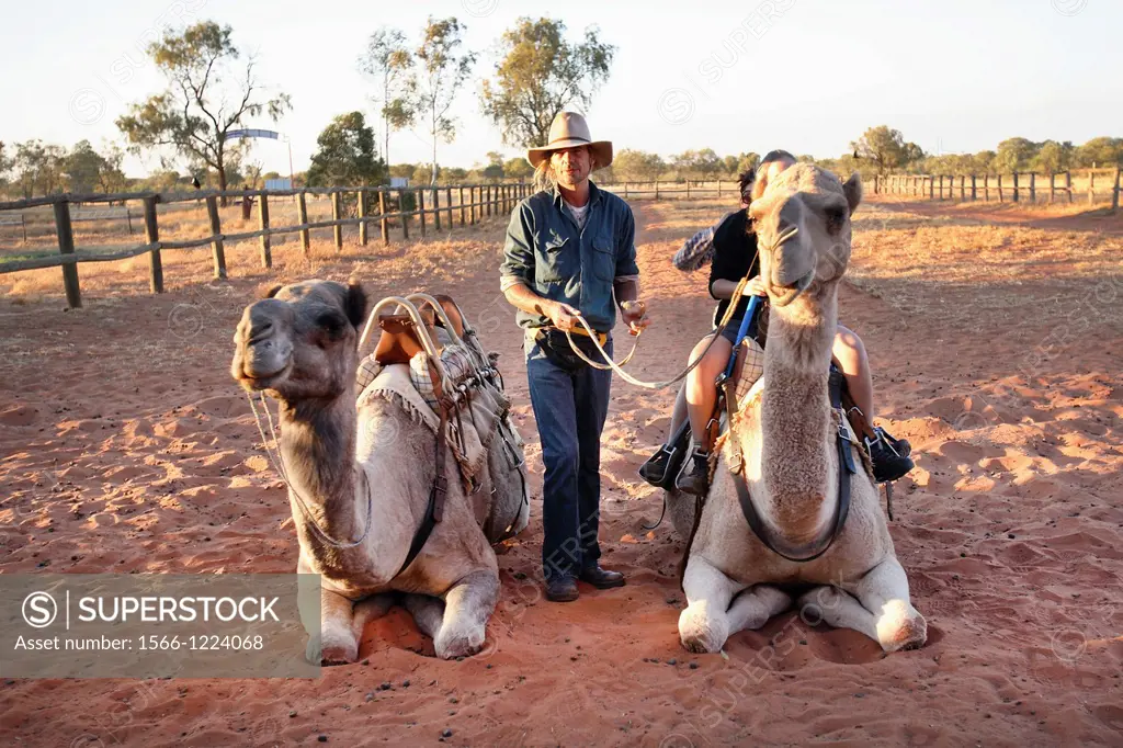 Camel riding, Central Australia