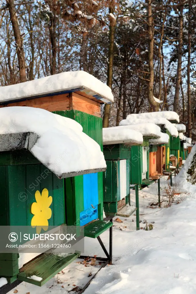 Apiary with wooden beehives on a sunny winter day, Male Karpaty, Slovakia