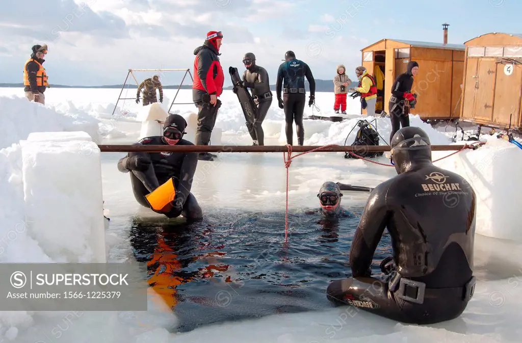 ice free diving, Arctic, Russia, Russian north, north, Kareliya, White sea
