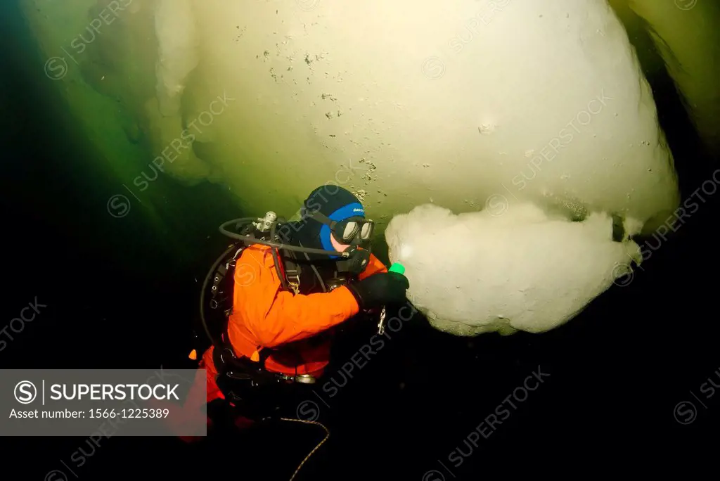 ice diving, Arctic, Russia, Russian north, Kareliya, White sea