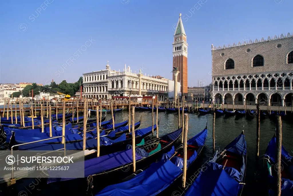 gondolas moored at Riva degli Schiavoni with the Doges Palace and Campanile of San Marco background, Venice, Veneto region, Italy, Europe