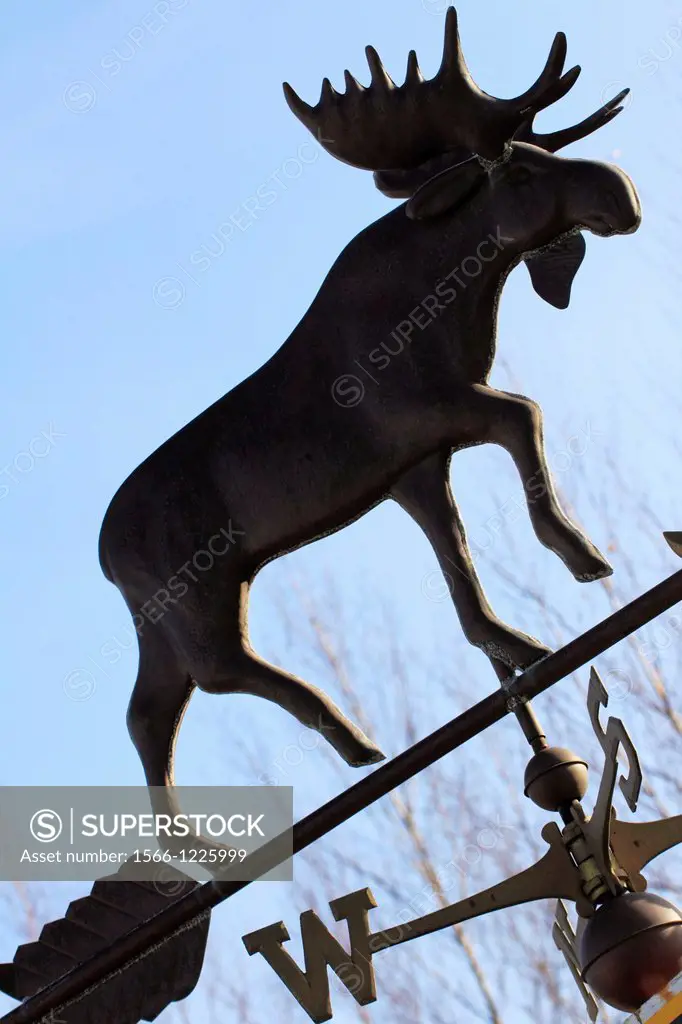 a moose weathervane in maine usa