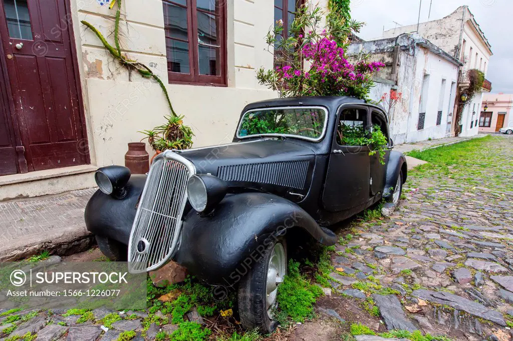 Old car turned into planter on cobblestone street in Colonia del Sacramento, UruguayStaff aboard the Lindblad Expeditions ship National Geographic Exp...