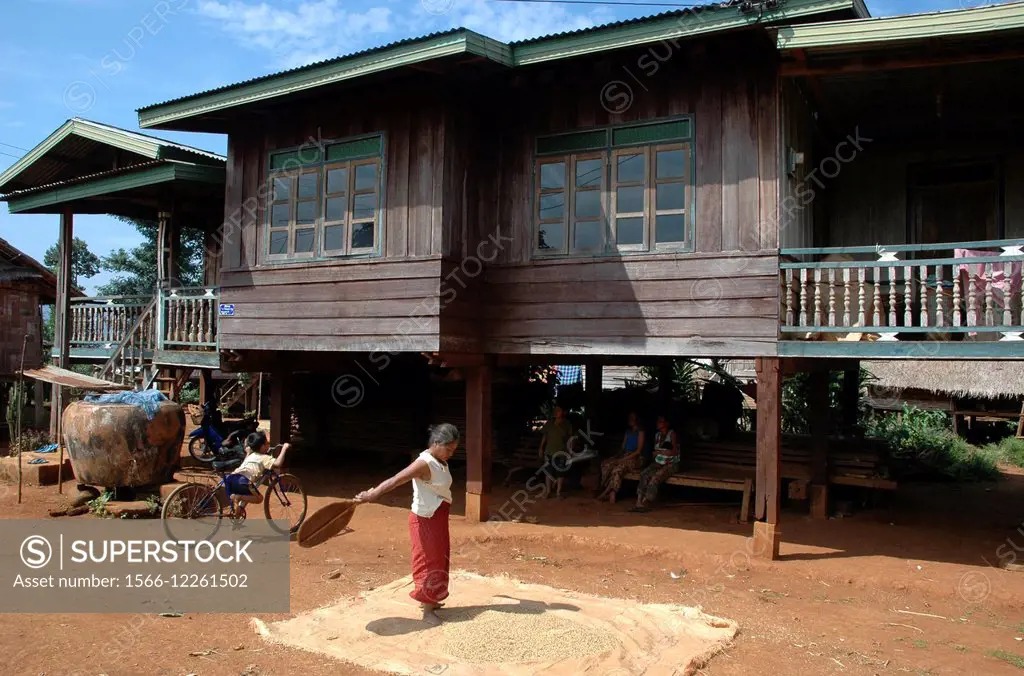 Bolaven Plateau, Laos: a woman cleaning rice in a village