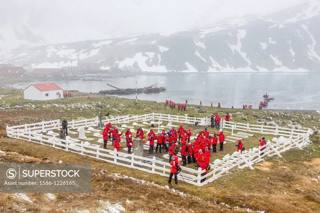 Lindblad Expeditions guest toasting Sir Ernest Shackleton at the graveyard at the abandoned Grytviken Whaling Station, South Georgia, South Atlantic O...