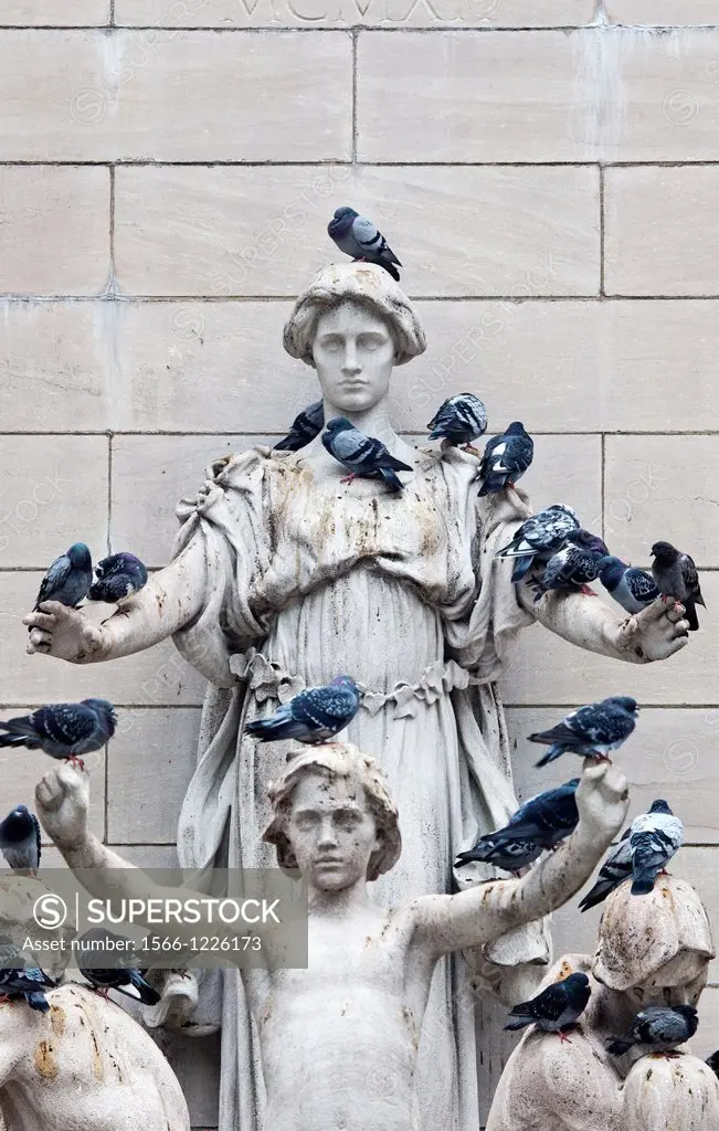 Pigeons Spoiling a Statue in New York City