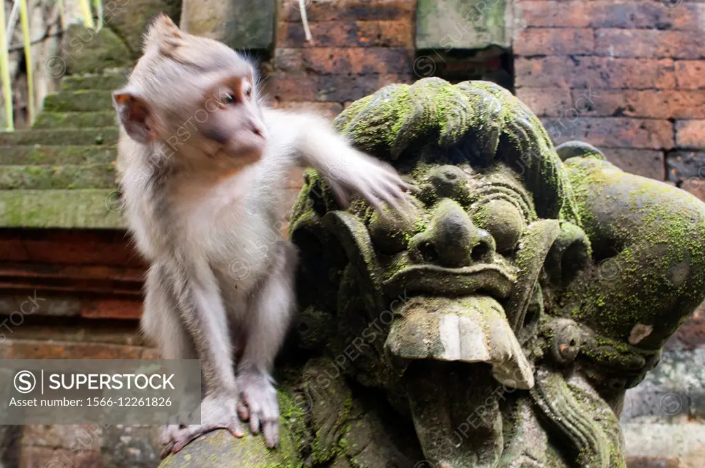 Monkeys having fun on stone statues of Hindu Holy Monkey Forest. Ubud. Bali. Laughter. The Ubud Monkey Forest is a nature reserve and temple complex i...