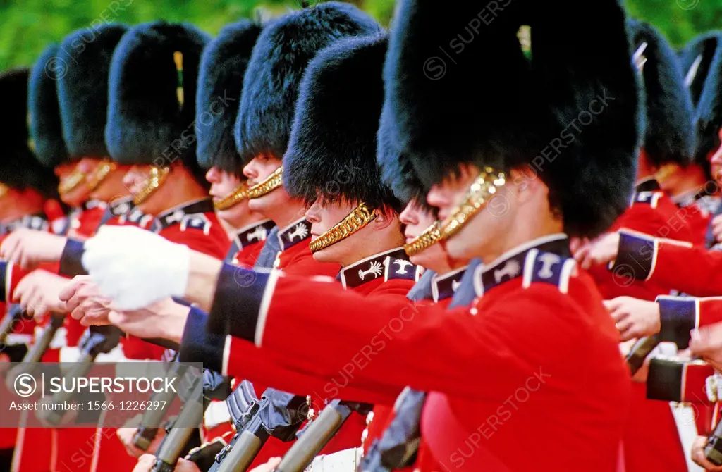 Royal guardsmen parading trooping the colours with mascot dog  London  England