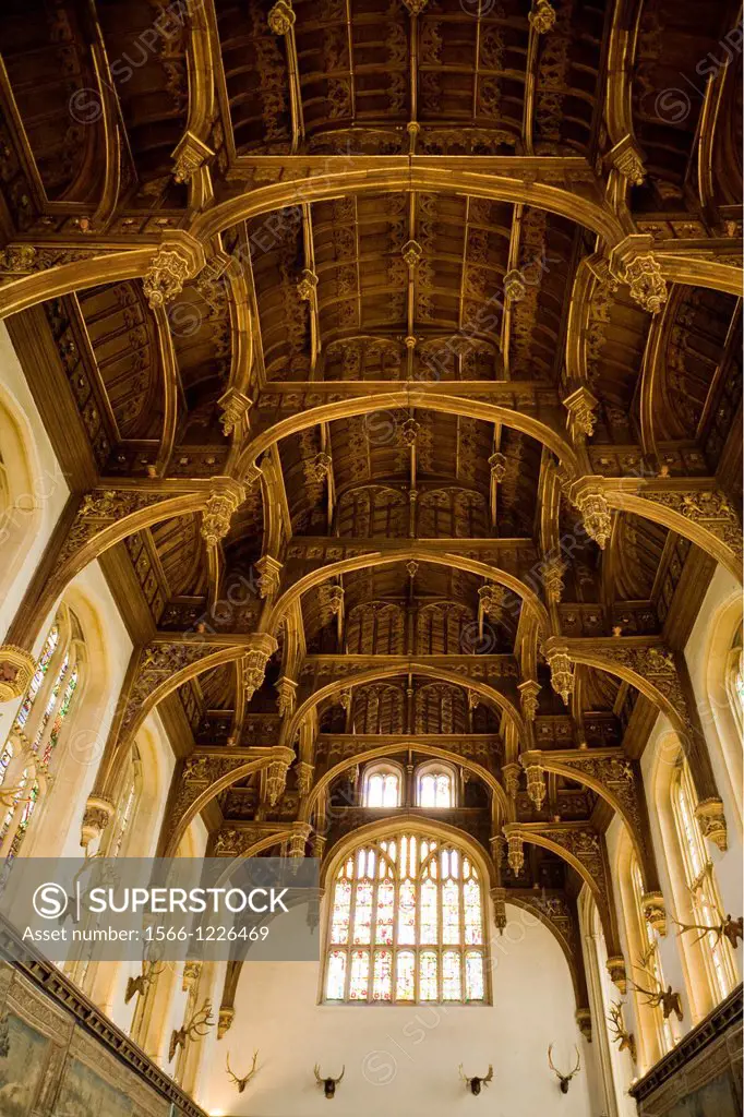Ceiling of the Great Hall, Hampton Court Palace, Surrey, England, oak hammerbeam roof structure, stained glass windows, part of King Henry VIII´s apar...