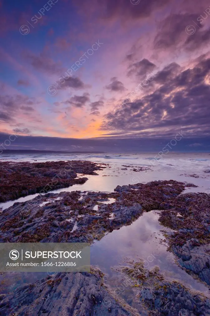 Cornborough Range at Dusk on the North Devon Coast, Abbotsham, England, United Kingdom