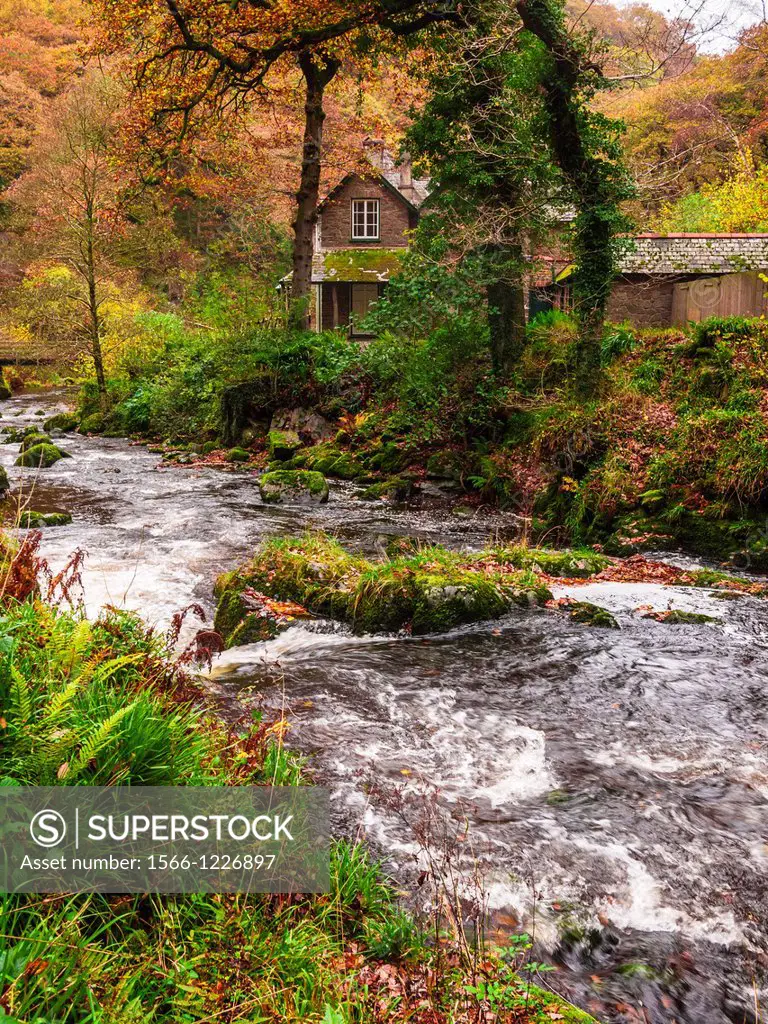 The East Lyn River at Watersmeet near Lynmouth and Lynton, Exmoor, Devon, England