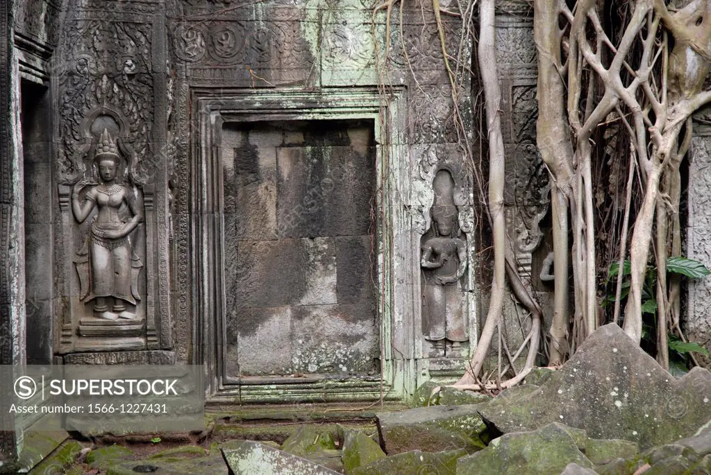 detail at ruins of Ankor Ta Prohm