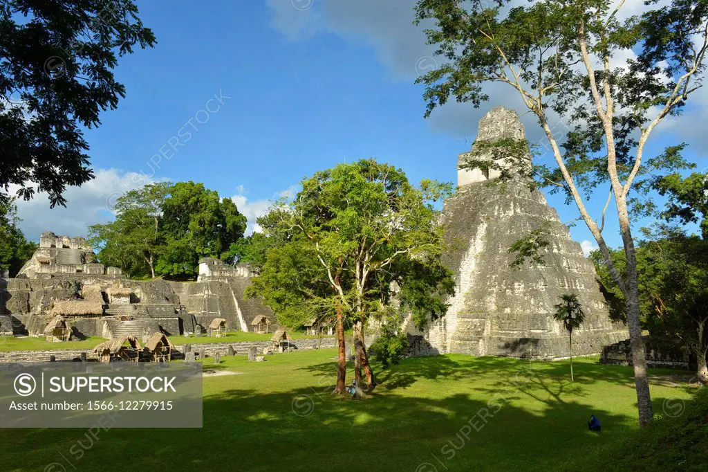 Mayan ruins of Tikal, Guatemala, Central America.