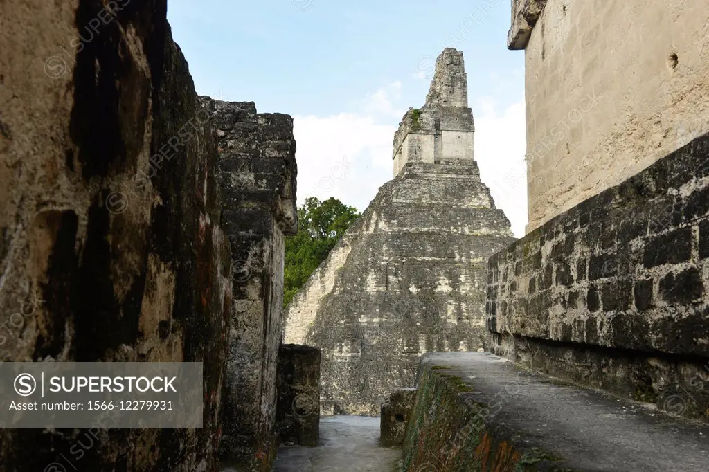 Mayan ruins of Tikal, Guatemala, Central America.