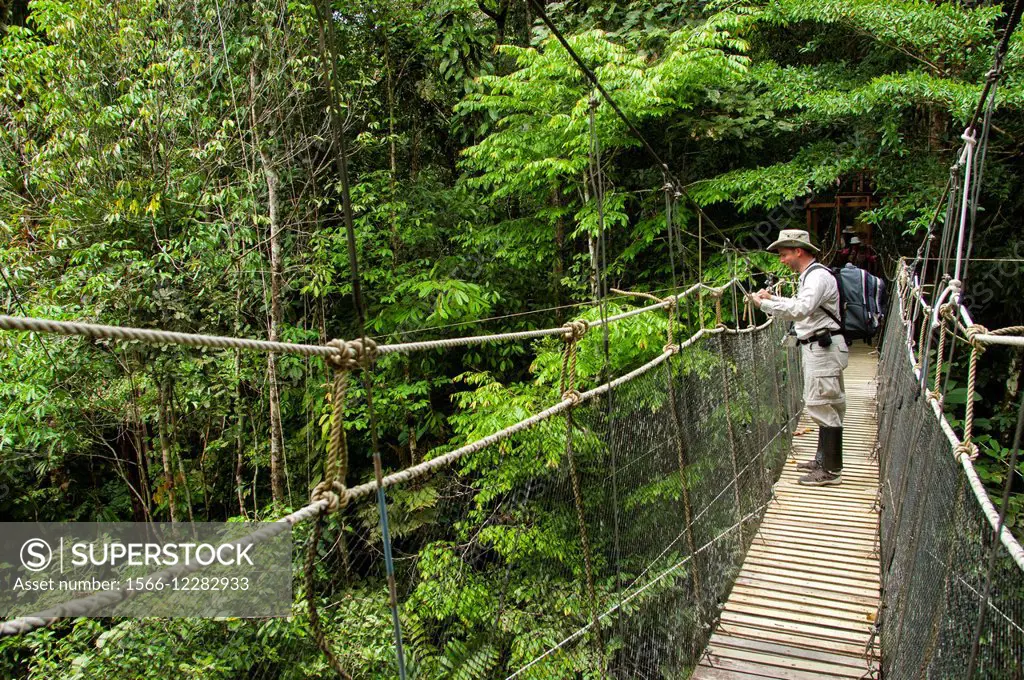 A tourist on a canopy walkway at La Posada Lodge at the Marañón River in the Peruvian Amazon River basin near Iquitos.