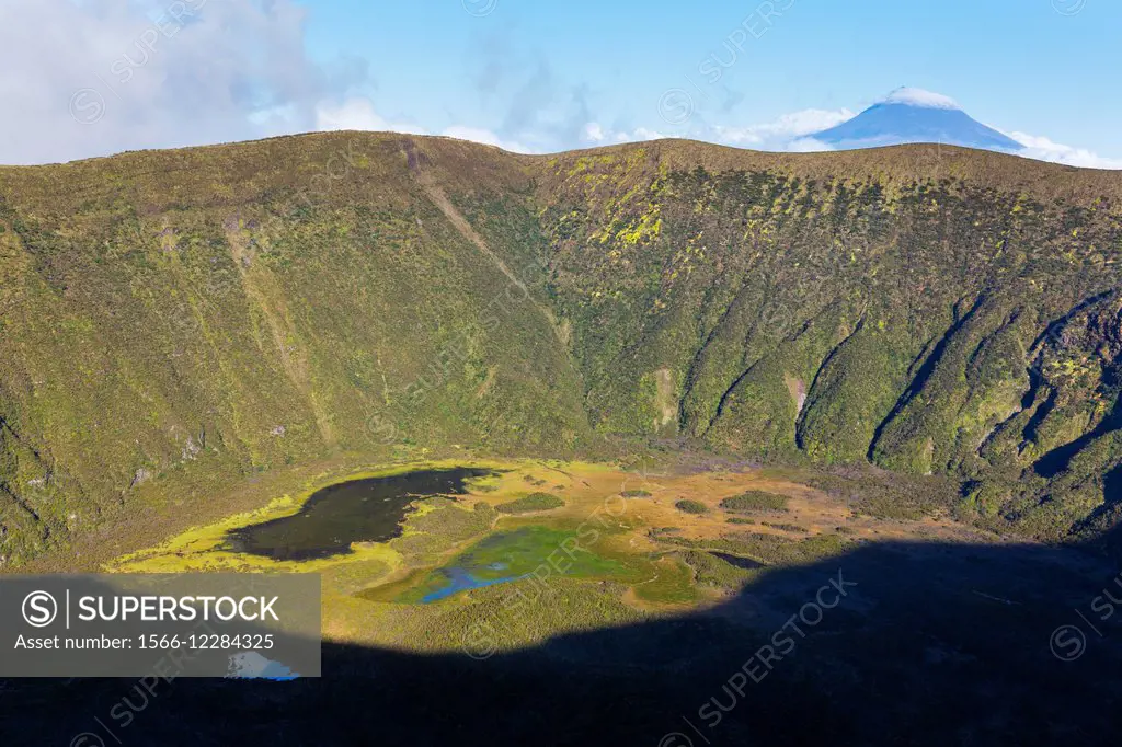 Caldeira Natural Reserve, Faial island, Azores archipelago, Portugal, Europe.