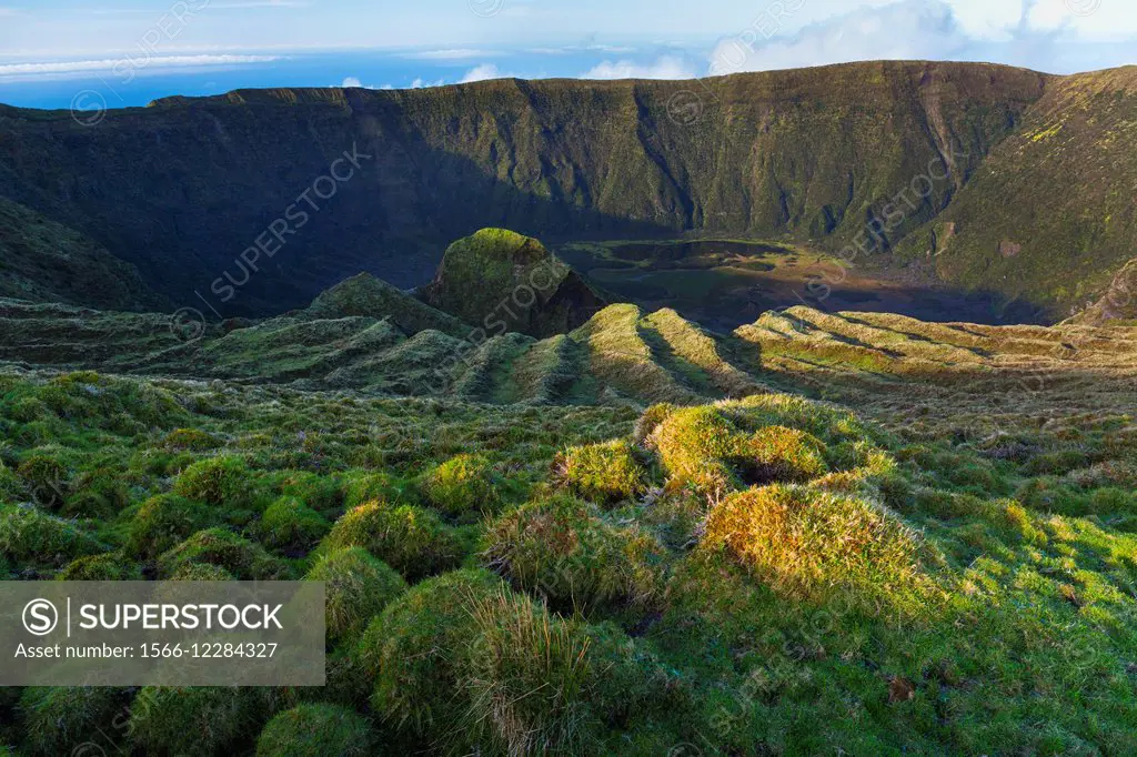 Caldeira Natural Reserve, Faial island, Azores archipelago, Portugal, Europe.