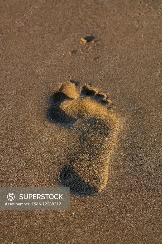 foot print on sand.