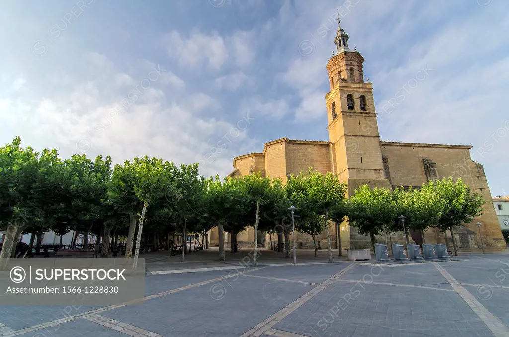 Santa Maria church in Fuenmayor, La Rioja, Spain