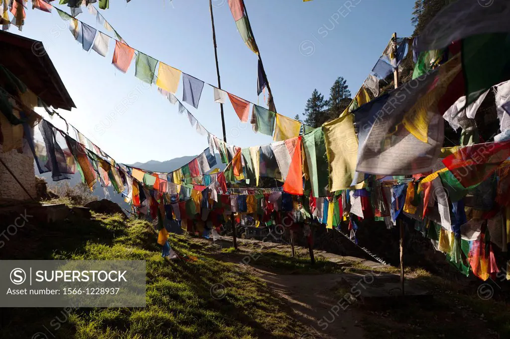 Prayer flags near the Taktsang Monastery Tiger´s Nest, Paro Valley, Bhutan, Asia.