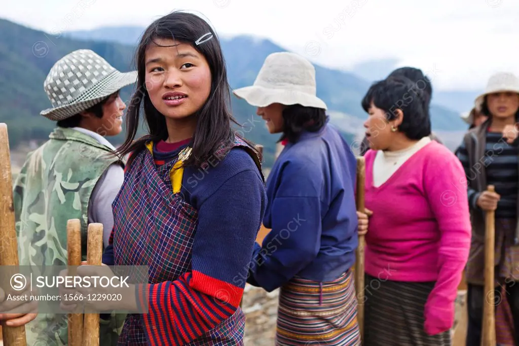 A gruop of women farming in Gangtey valley, Bhutan, Asia.