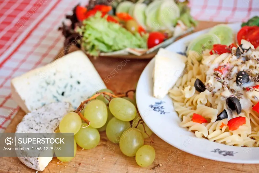 Fusilli with white mushroom sauce  White mushroom sauce with fresh basil and thyme, tomato, black olives and leeks  Shrimp edges the plate  Red and gr...