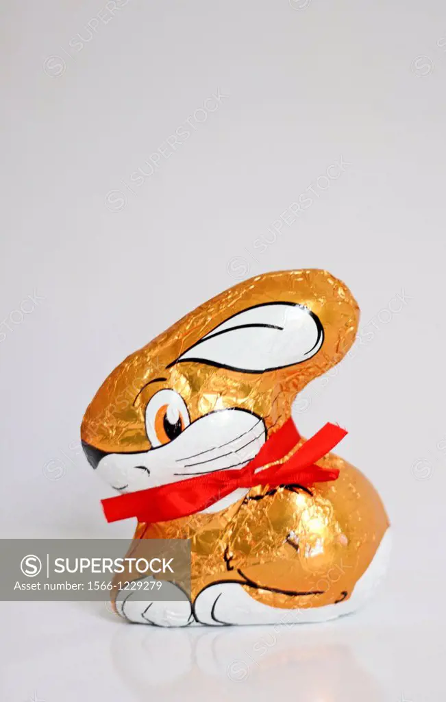 Small molded chocolate bunny in gold foil  White ear and big white mouth  Has red ribbon about neck  Hollow chocolate  Side view  Crouching bunny  Whi...
