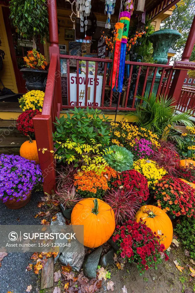 Autumnal decoration with pumpkins, Stowe, Vermont, USA