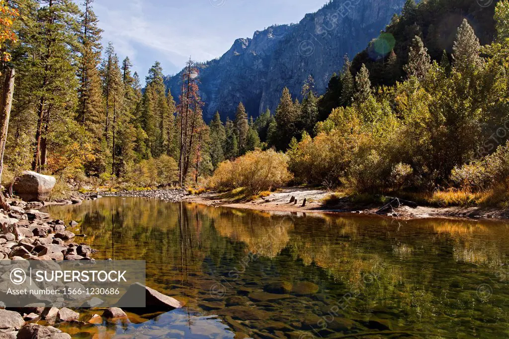 autumn at the Merced river in Yosemite Valley, Yosemite National park, California, United States of America, USA