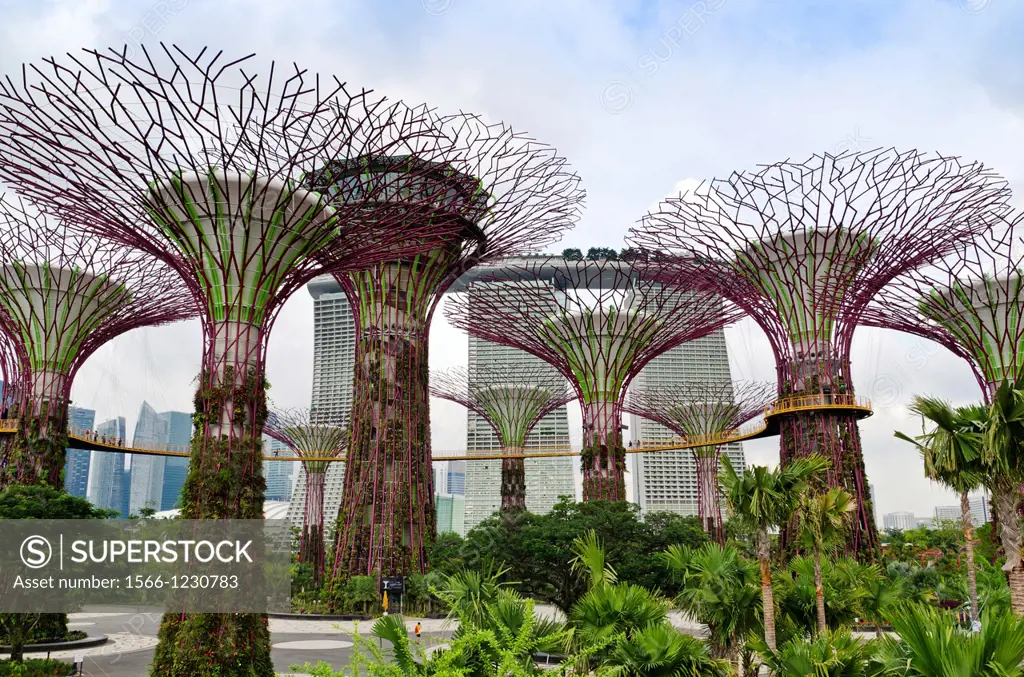 The Supertree Grove at Gardens by the Bay with the Marina Bay Sands in the background, Singapore