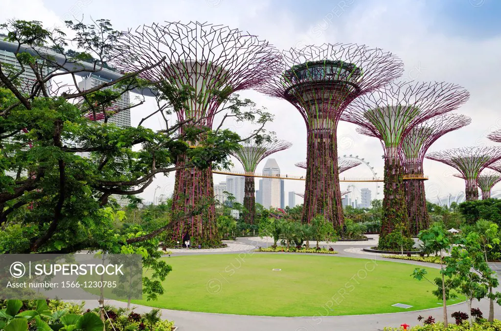 The Supertree Grove at Gardens by the Bay with the Marina Bay Sands in the background, Singapore