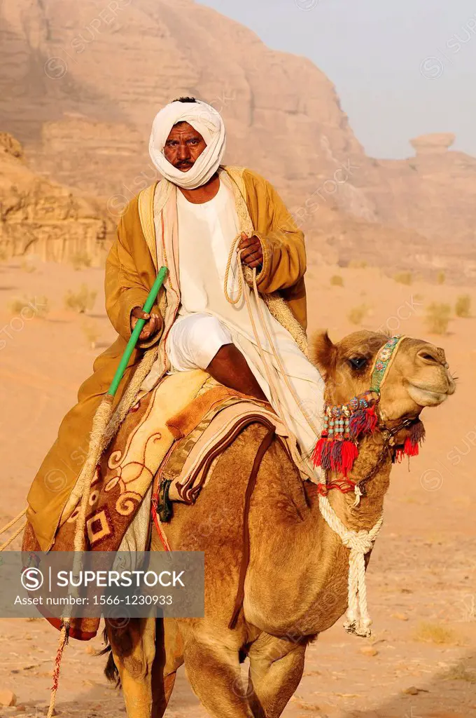A beduin man with his camels, Wadi Rum desert, Jordan, Middle East.