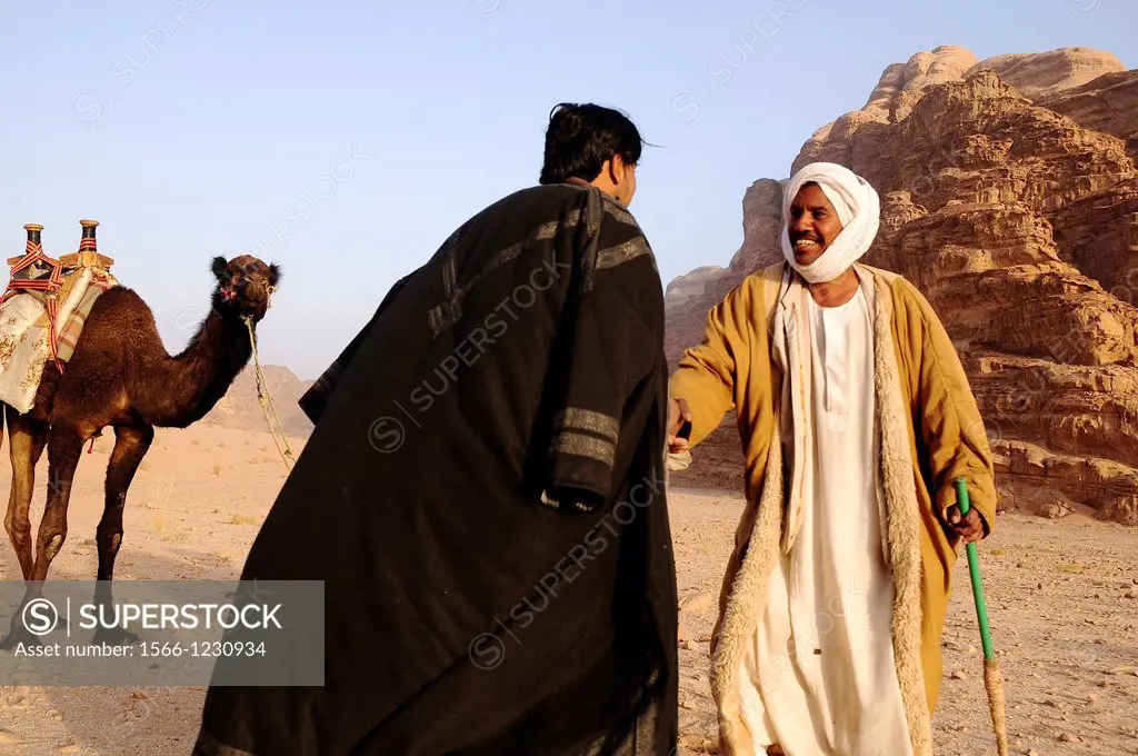 Beduin men with their camels, Wadi Rum desert, Jordan, Middle East.