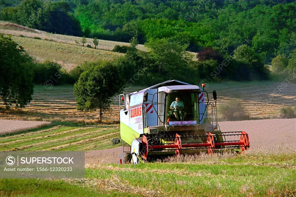 Harvest, Fossemagne, Dordogne, Aquitaine, France
