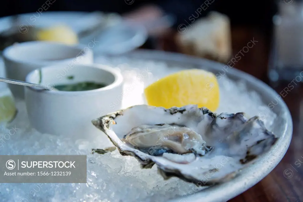 One remaining oyster on the half shell attests to their desirability