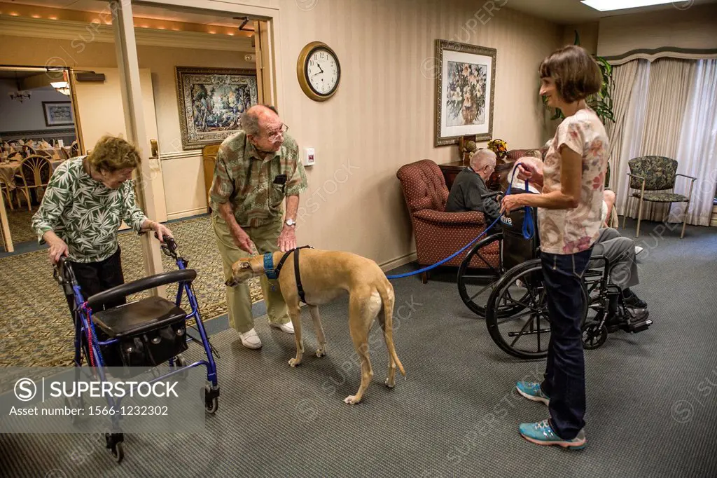 Volunteers bring therapy dogs to a retirement home in Mission Viejo, CA, to provide companionship for the residents