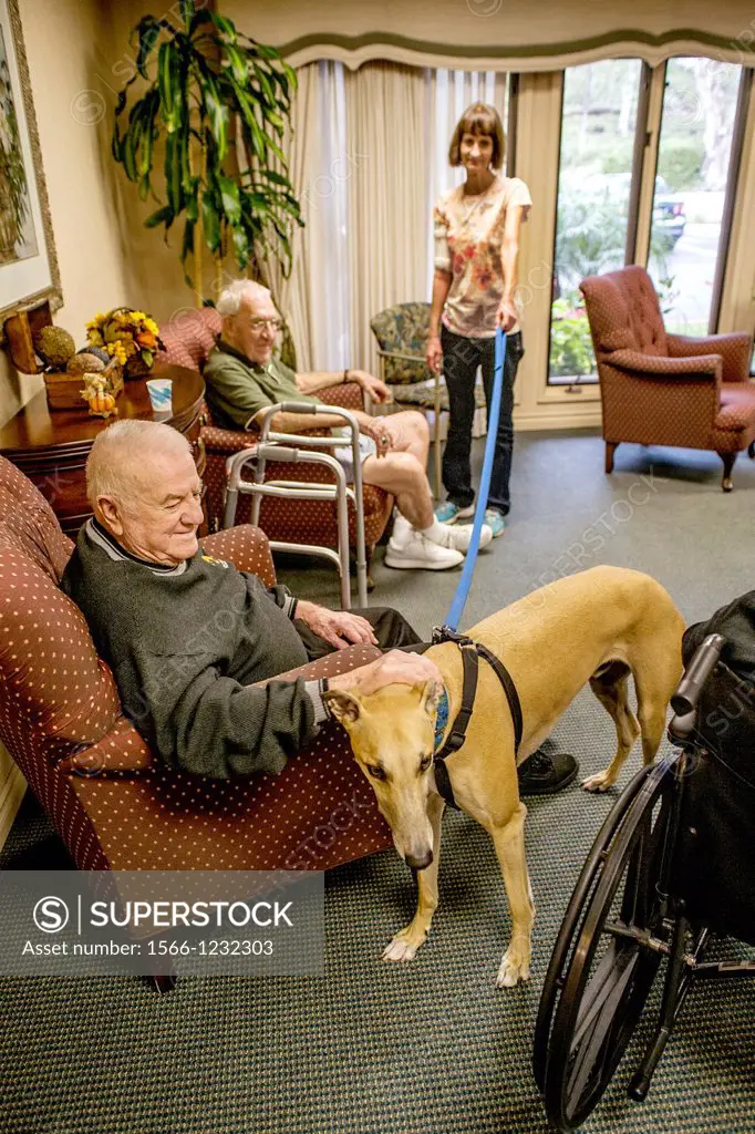 Volunteers bring therapy dogs to a retirement home in Mission Viejo, CA, to provide companionship for the residents