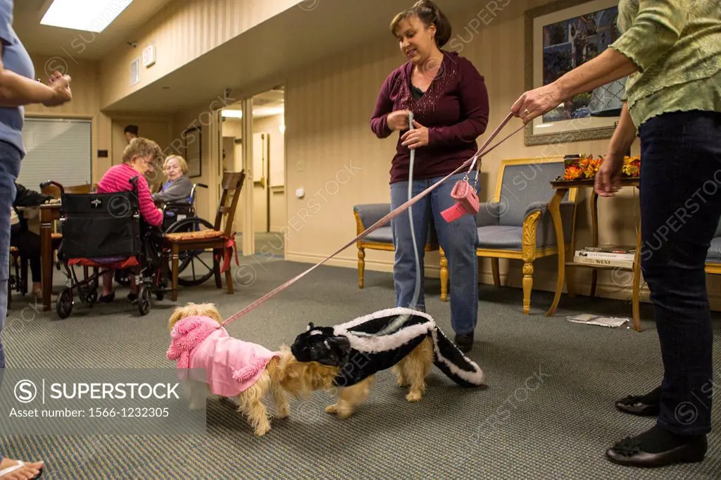 Volunteers bring therapy dogs in Halloween costumes to a retirement home in Mission Viejo, CA, to provide companionship for the residents