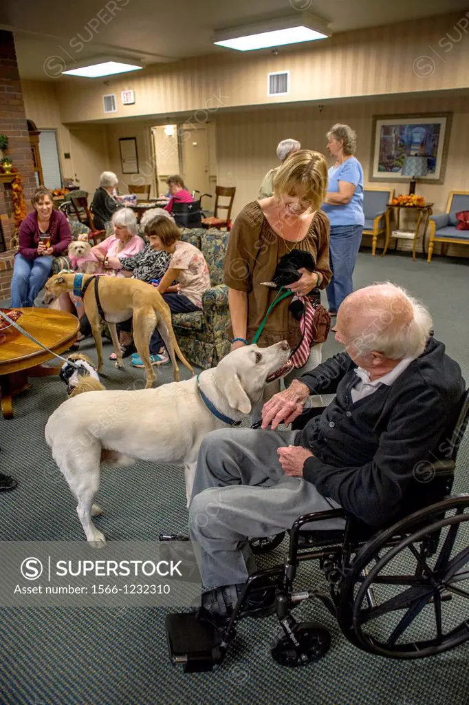 Volunteers bring therapy dogs to a retirement home in Mission Viejo, CA, to provide companionship for the residents Volunteers bring therapy dogs in H...
