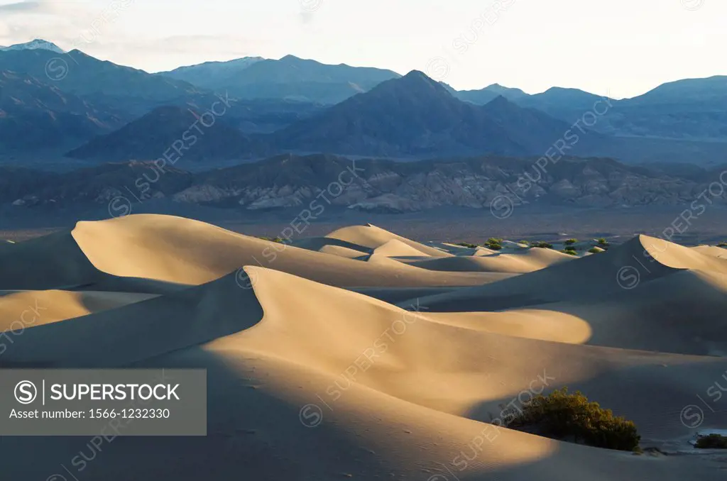 Mesquite Flat Sand Dunes and Amargosa Range in the Death Valley in the early morning  Death Valley National Park, California, USA