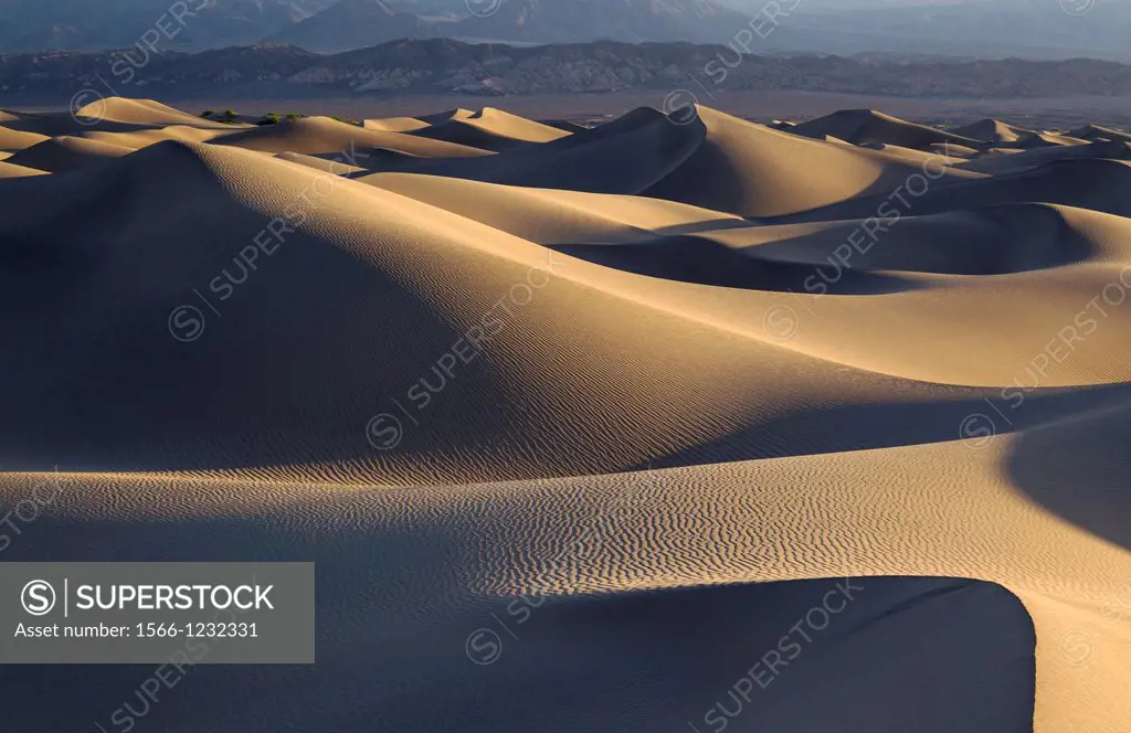 Mesquite Flat Sand Dunes and the foothills of the Amargosa Range in the Death Valley in the early morning  Death Valley National Park, California, USA
