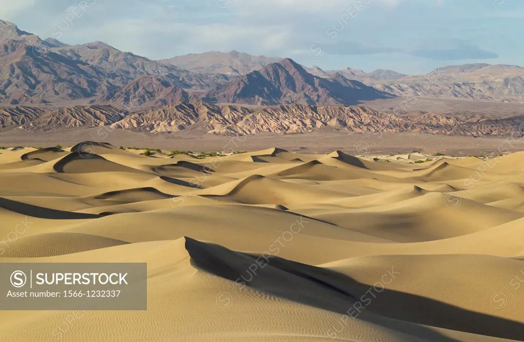 Mesquite Flat Sand Dunes and Amargosa Range in the evening in the Death Valley  Death Valley National Park, California, USA
